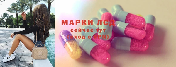 ГАЛЛЮЦИНОГЕННЫЕ ГРИБЫ Богданович